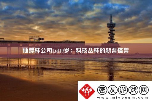仙踪林公司Ltd19岁：科技丛林的新晋怪兽