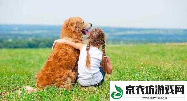 人-ZOOM-狗狗：可爱宠物的日常