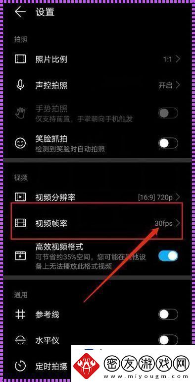 “帧数华为眼-双关语里探”