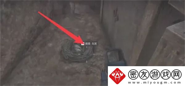 三角洲行动鸟窝如何搜索