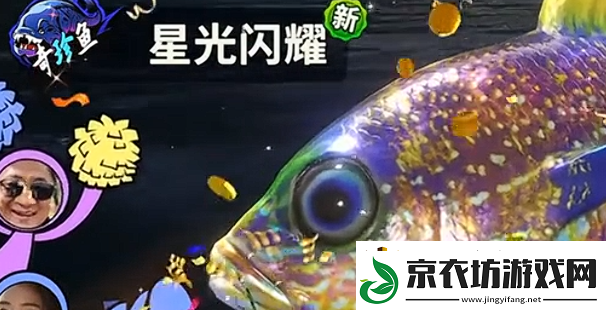 欢乐钓鱼大师什么鱼最稀有：副本组队配合与默契打造
