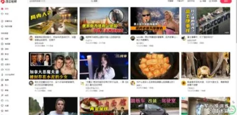 茶杯狐-cupfox-茶杯狐：探讨这一新兴宠物的养护技巧与生活习性分析