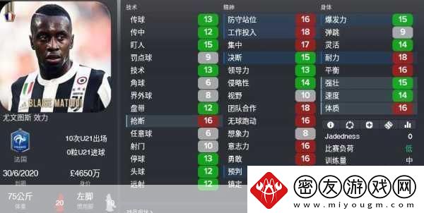 足球经理2011深度解析-FM黄牌频率竟是现实的双倍