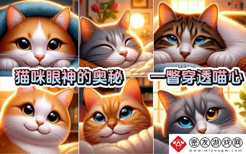猫咪-MV-最新地域名怎么取：探索其奥秘