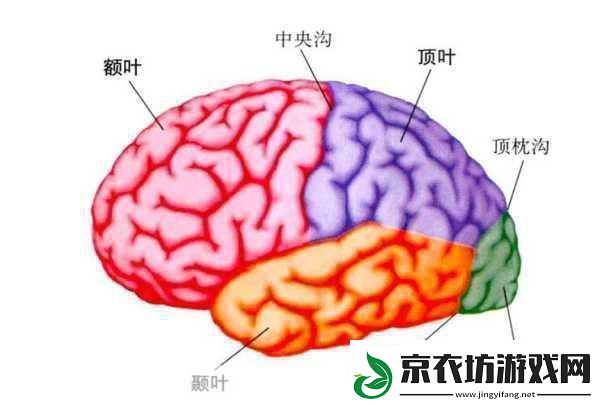 分裂之门2震撼来袭-三大派系能力全揭秘！