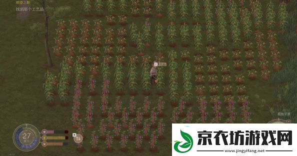 欢欣森活攻略总汇