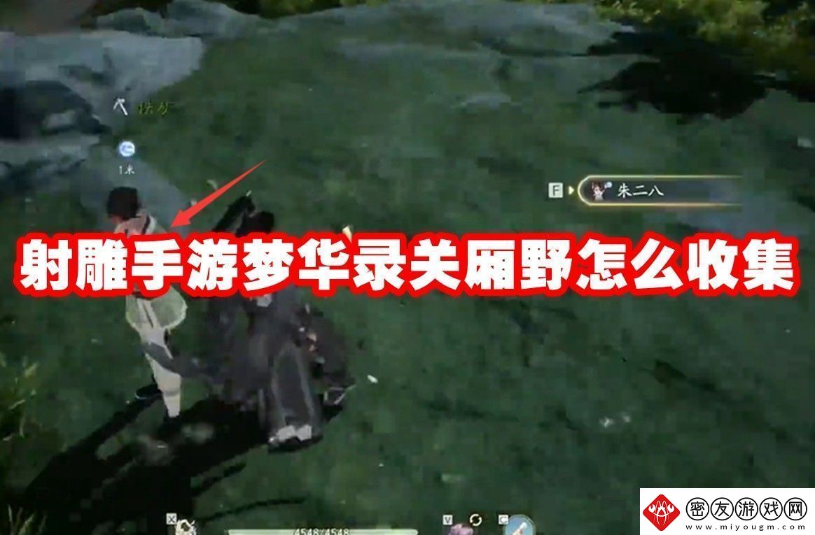 射雕手游梦华录关厢野全收集攻略-射雕手游梦华录关厢野怎么收集