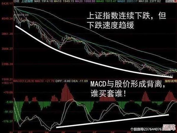 17c.cmo是什么意思