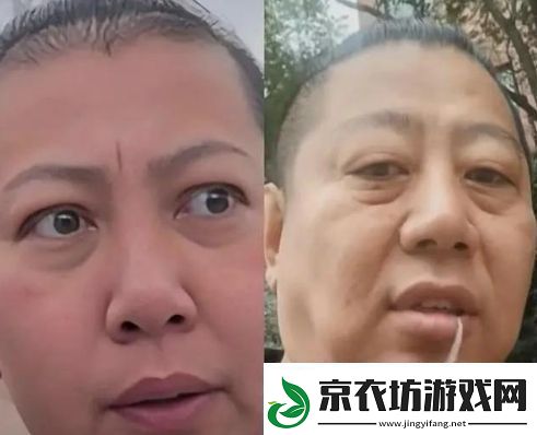 东北雨哥是什么梗络用语东北雨哥梗意思及出处分享