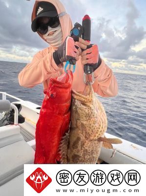 剑3狼牙堡燕然峰石斑打法攻略详解【必看】