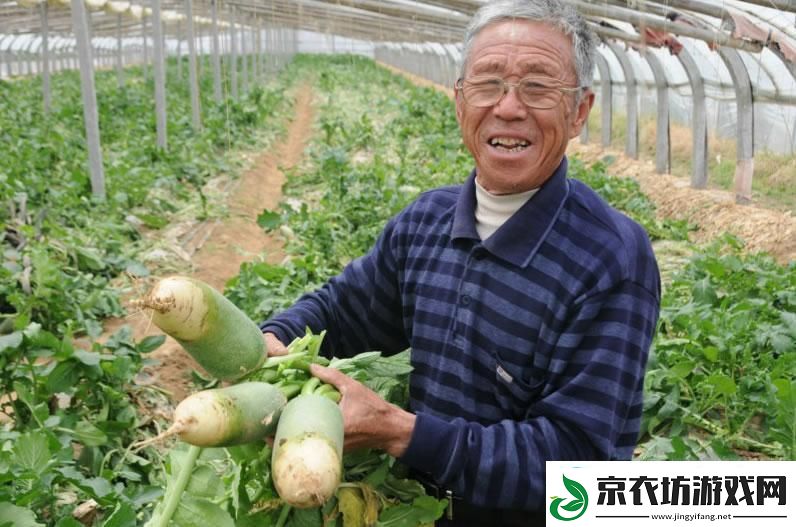 体验互动乐趣：可以跟女角色拔萝卜的游戏软件推荐