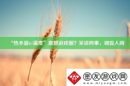 “热水器h1温度”震撼游戏圈-笑谈事-调侃人间