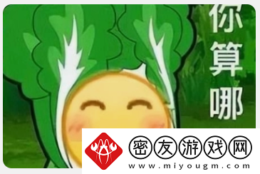 菜就多练练什么梗络用语-菜就多练练梗意思及出处分享