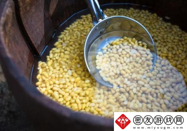 打破常规-磨豆浆的新花样！