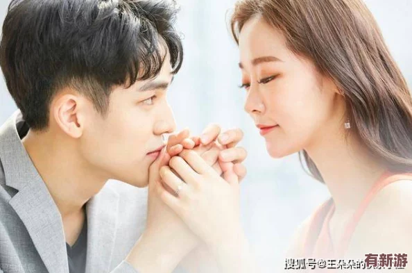 岳婿合体内容介绍