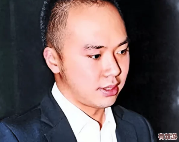 李宗瑞苦瓜：揭示其背后的故事与影响-探讨这一现象对社会的启示与反思