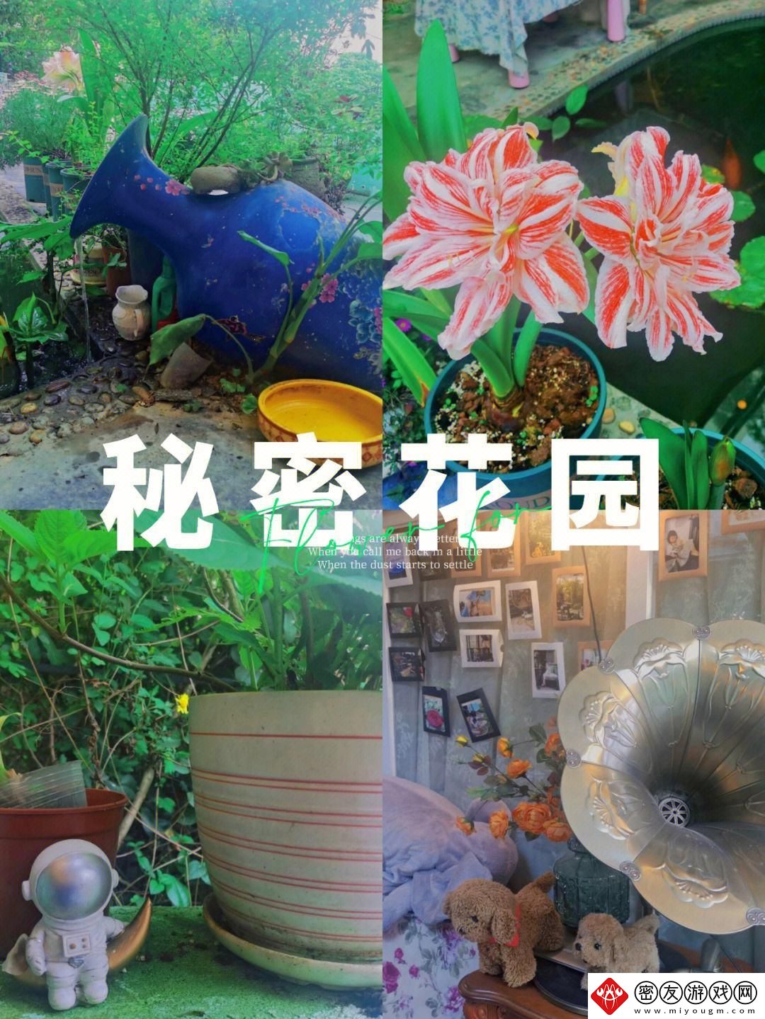 秘密花园的秘密