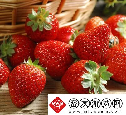 免费畅享草莓视频：无限精彩内容尽在草莓视频在线免费