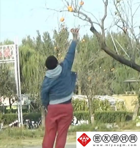 王传君交罚款为女儿摘柿子-友：公众人物合适么