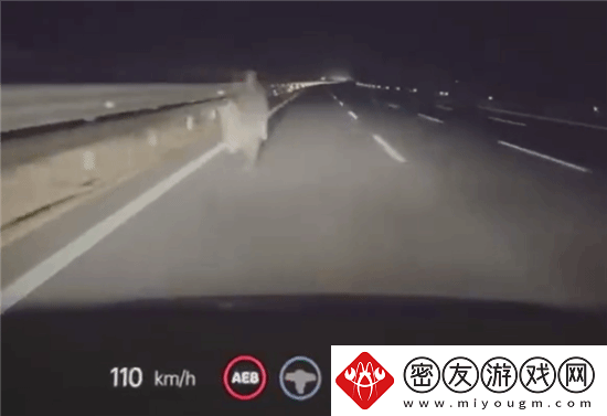 行人凌晨高速路上逆行-理想汽车AEB立功：救了两个家庭