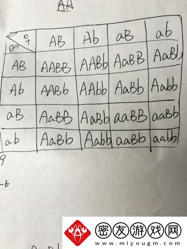 AABB与AAAA的差异：科技界的“辣条”大比拼