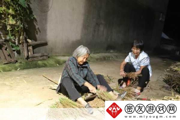 耕耘大婶的肥沃的土地：1.-耕耘大婶的肥沃土地：丰收背后的秘密
