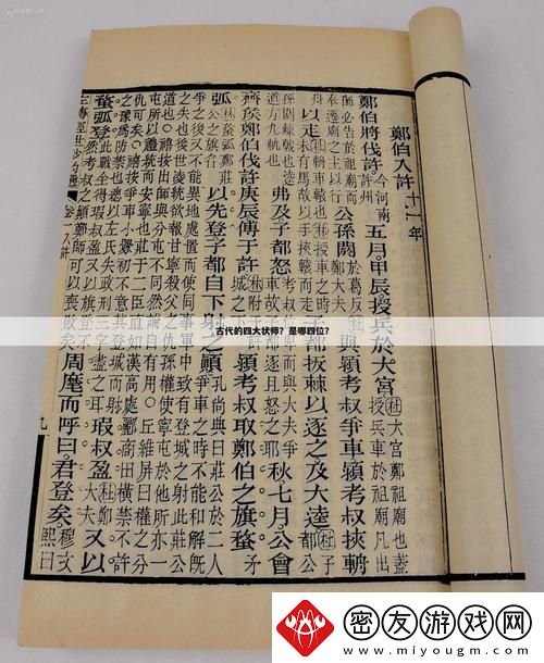 “女状师”奇谭：科技江湖中的奇葩瑰丽