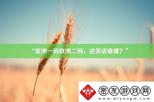 “亚洲一码欧洲二码-这笑话谁懂-”
