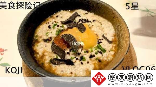 东北大叔VLOG以前视频-东北大叔的美食探险：舌尖上的家乡味道