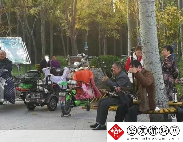 公园小树中老年交易图片-＂公园小树：探索中老年人的交易与交流