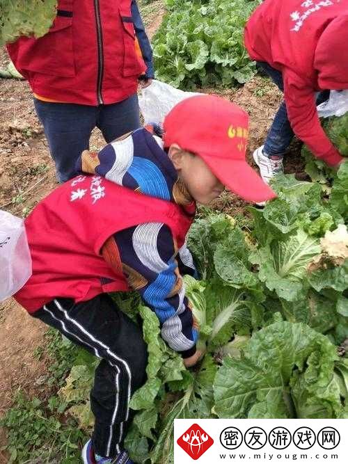 在野外用小雨伞拔萝卜好吗：野外求生的别样体验