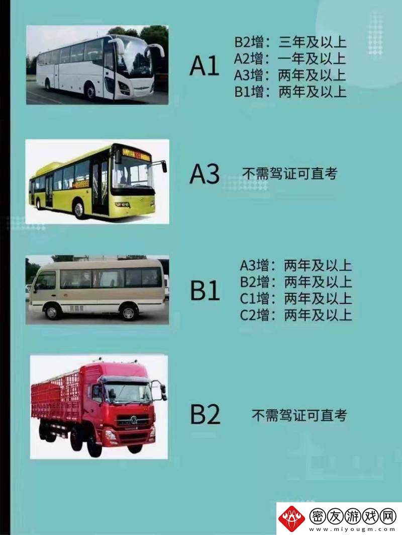 国产-A1a2a317c-的独特魅力与价值