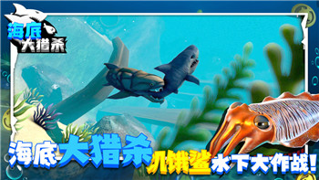 德军总部2新巨人画面模糊对玩家体验的影响及其可能的优化方案