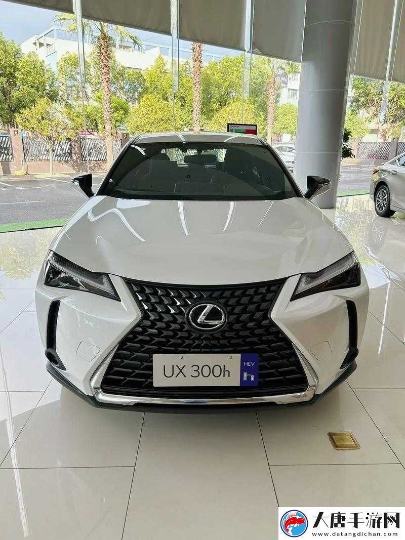 性能高女性-SUV：极致驾驭之选