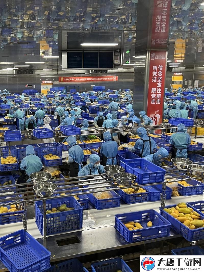 九一果冻制作厂：打造甜蜜梦幻的果冻乐园