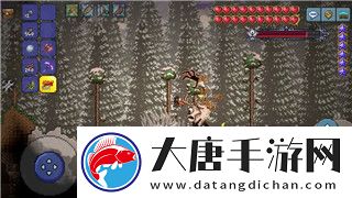 地下城堡2支线6任务的挑战与奖励揭秘-如何快速完成任务获取丰厚回报
