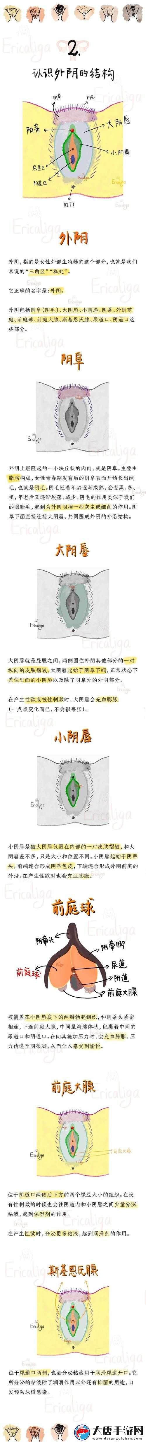 呦小性 5 一 8ⅩXX 究竟是什么？带你深入了解其背后的秘密与特点