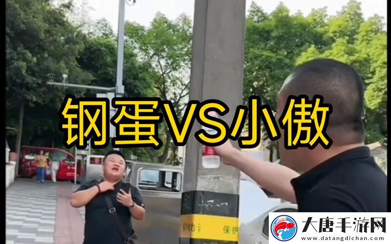探索与反思：“小圈实践纪实视频在线观看”的深度解析