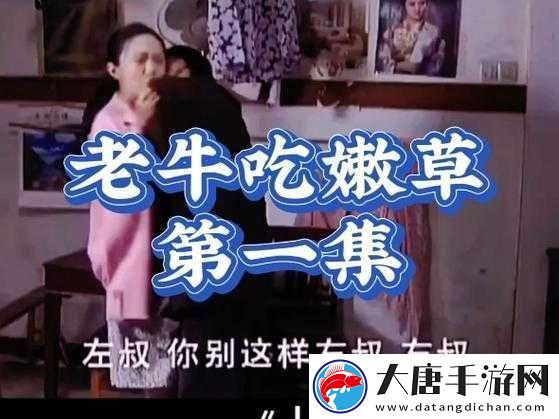 牛牛电影国产一区二区究竟有何独特之处-其内容与特色大揭秘