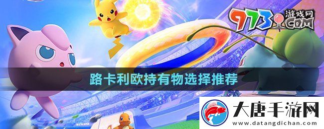 宝可梦大集结路卡利欧持有物选什么-路卡利欧持有物选择推荐