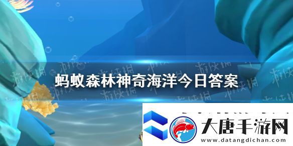 猜一猜以下哪种海洋动物是海葵的天敌-神奇海洋12月15日答案