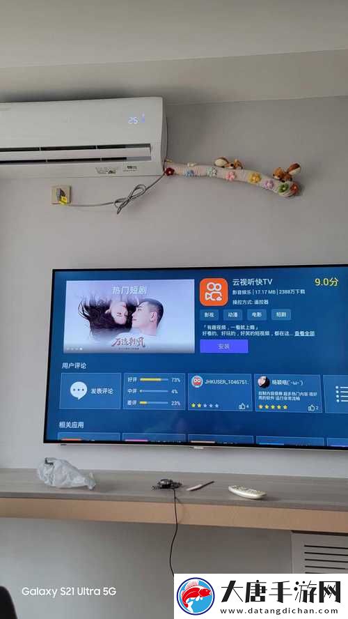 鲁大师影院在线观看电视视频-网友：流畅观影体验令人惊艳！